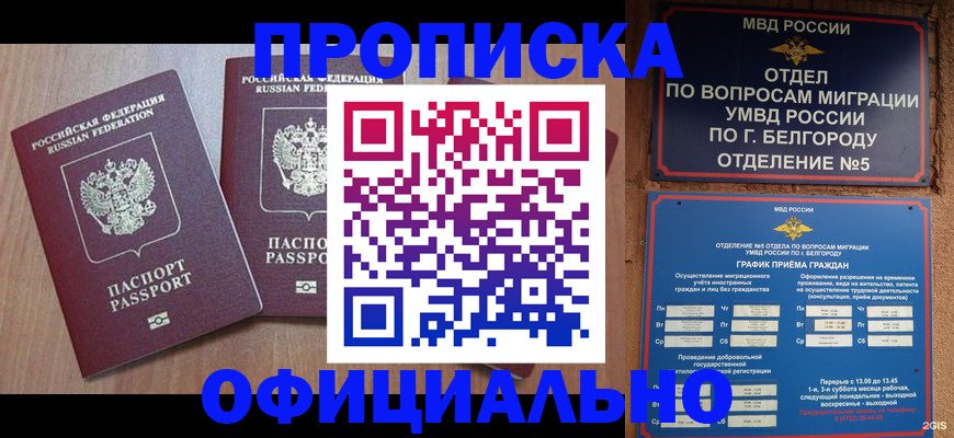 найти адрес прописки в Волжске